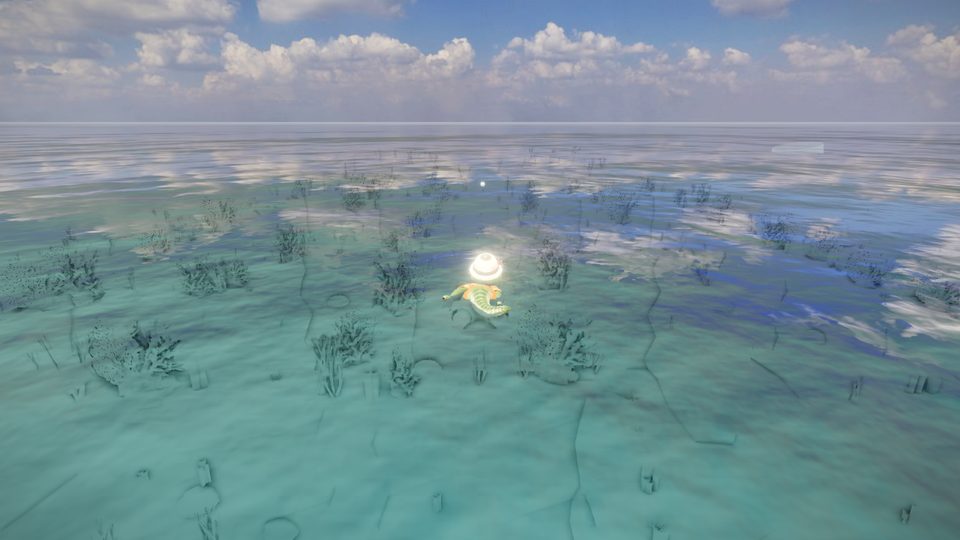 The reef